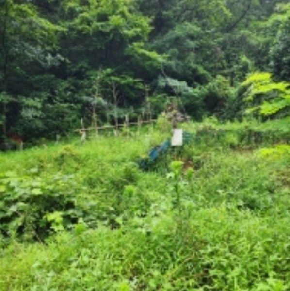 2024타경109779 울산광역시 울주군 범서읍 사연리 5 농지 경매 이미지