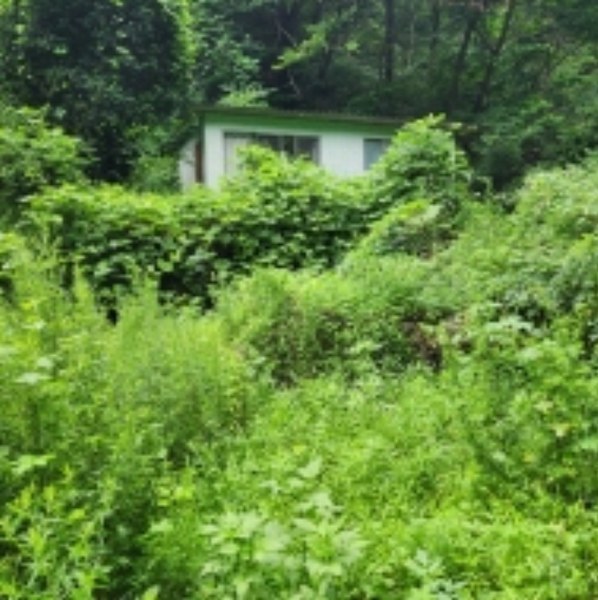 2024타경109779 울산광역시 울주군 범서읍 사연리 5 농지 경매 이미지