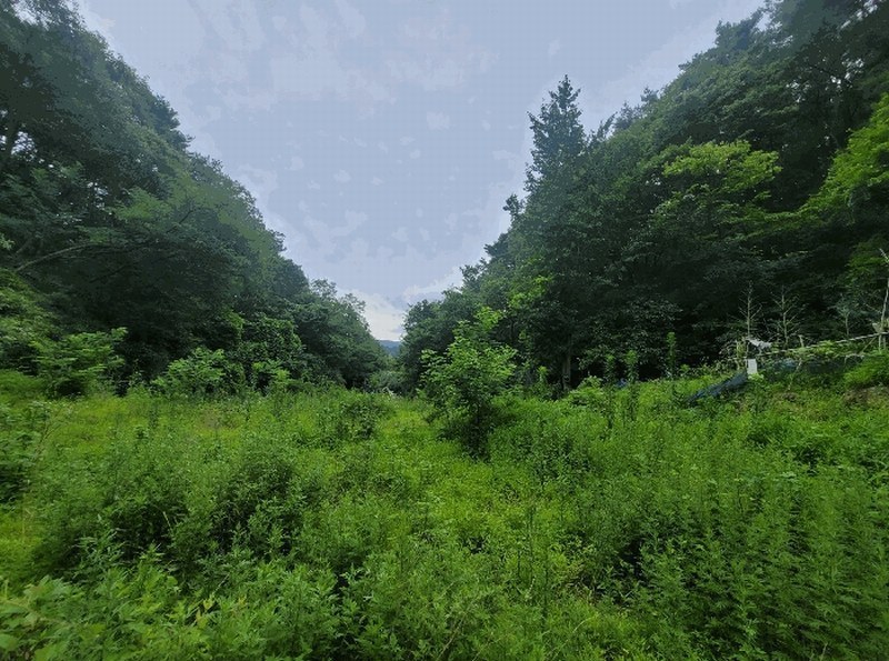 2024타경109779 울산광역시 울주군 범서읍 사연리 5 농지 경매 이미지