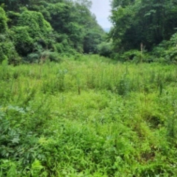 2024타경109779 울산광역시 울주군 범서읍 사연리 5 농지 경매 이미지