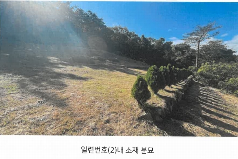 2024타경113204 울산광역시 북구 신현동 산183 임야 경매 이미지