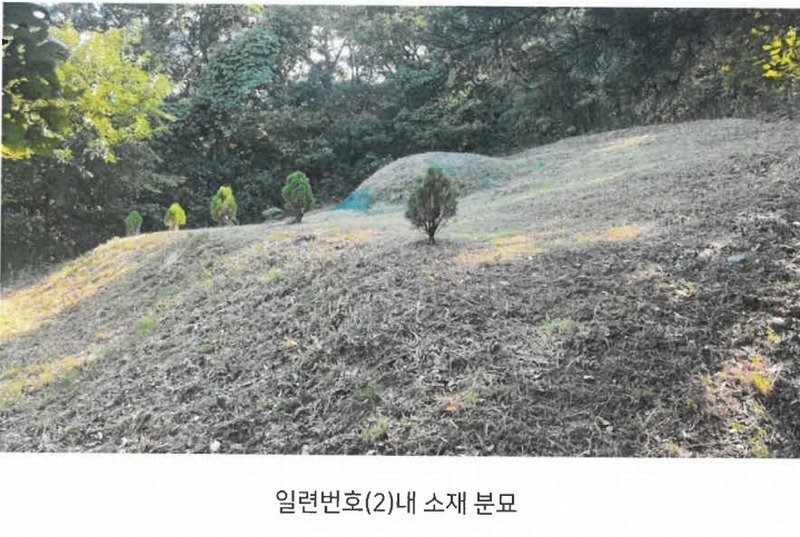 2024타경113204 울산광역시 북구 신현동 산183 임야 경매 이미지