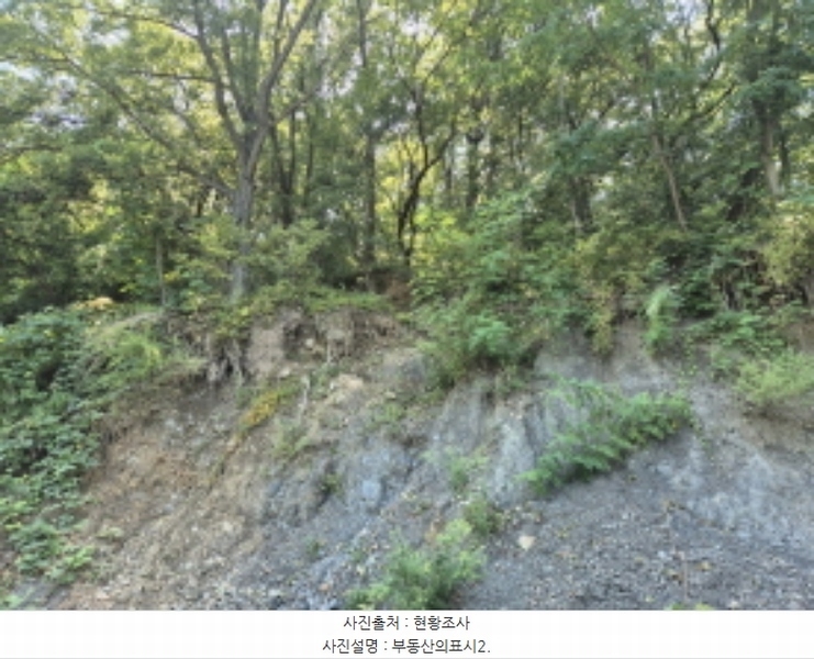 2024타경113204 울산광역시 북구 신현동 산183 임야 경매 이미지
