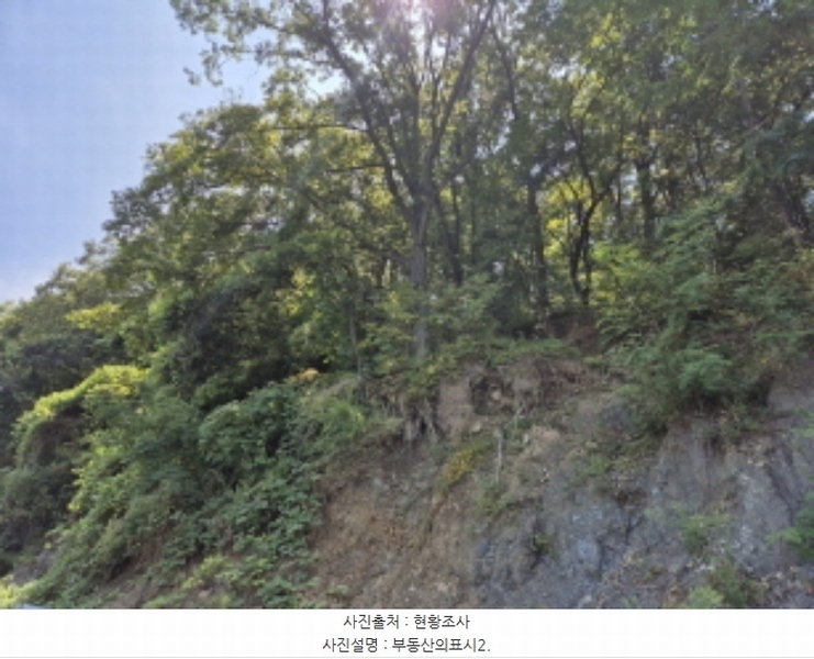 2024타경113204 울산광역시 북구 신현동 산183 임야 경매 이미지