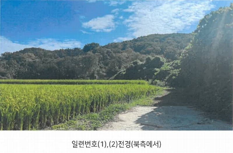2024타경113204 울산광역시 북구 신현동 산183 임야 경매 이미지