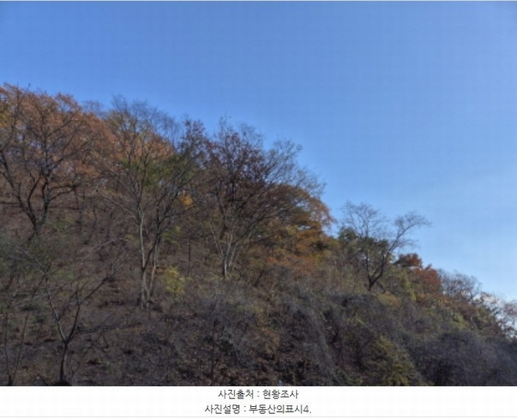 2024타경118322 울산광역시 북구 산하동 산152 임야 경매 이미지