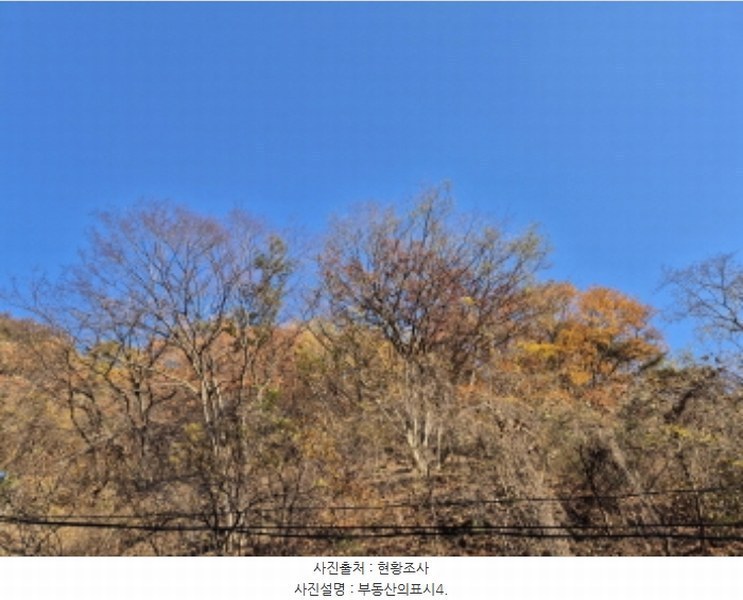 2024타경118322 울산광역시 북구 산하동 산152 임야 경매 이미지