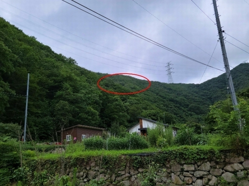 2023타경108519 경상남도 양산시 원동면 선리 산160 임야 경매 이미지