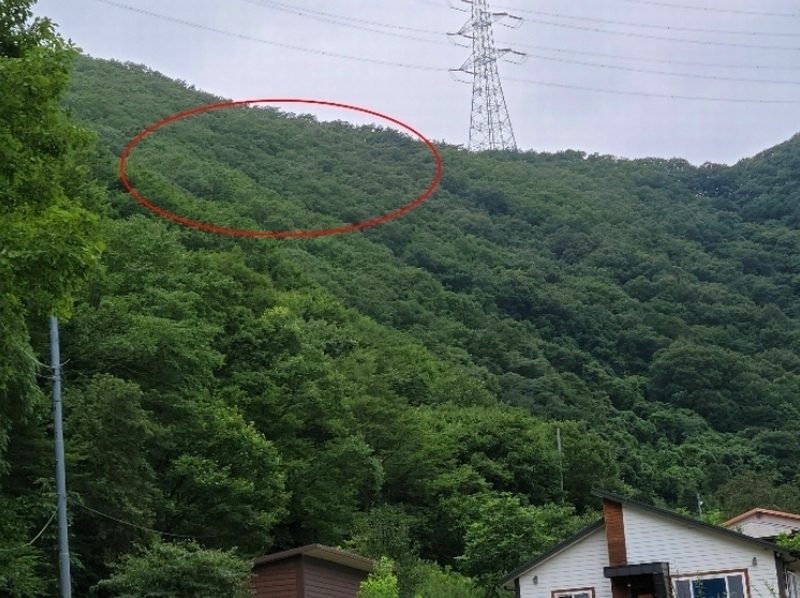 2023타경108519 경상남도 양산시 원동면 선리 산160 임야 경매 이미지