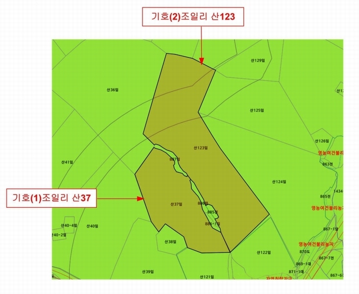2024타경114054 울산광역시 울주군 삼동면 조일리 산123 임야 경매 이미지