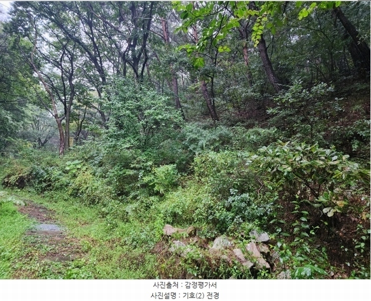 2024타경114054 울산광역시 울주군 삼동면 조일리 산123 임야 경매 이미지