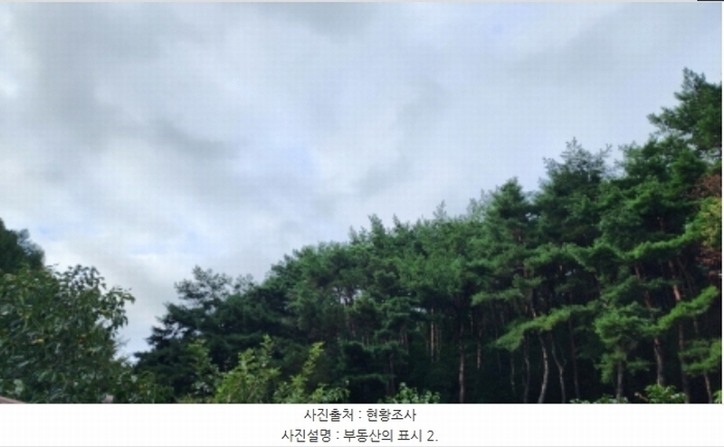 2024타경114054 울산광역시 울주군 삼동면 조일리 산123 임야 경매 이미지