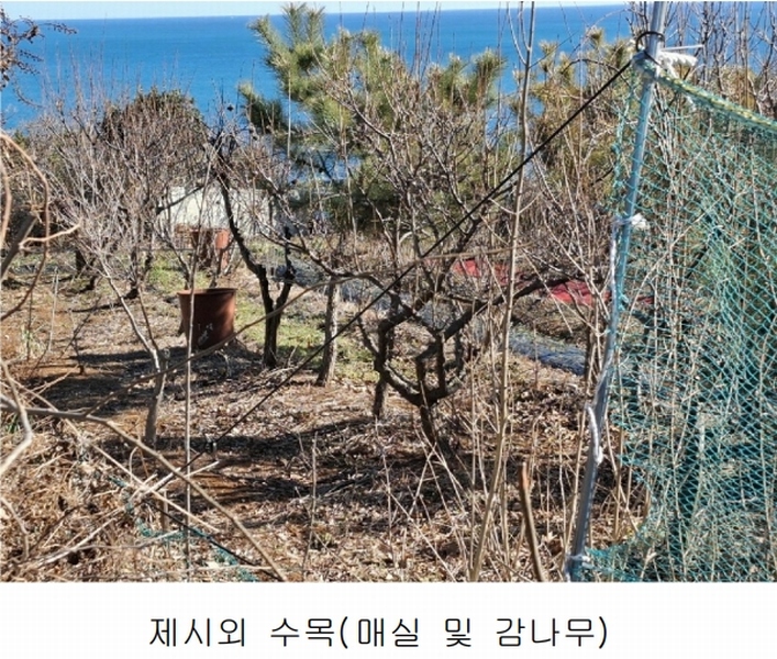 2024타경119721 울산광역시 북구 당사동 42 임야 경매 이미지