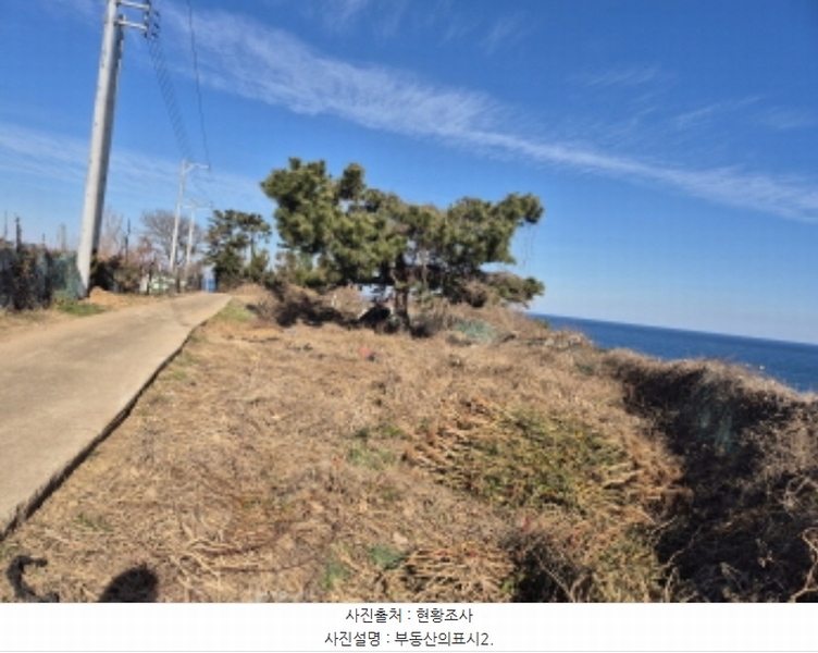 2024타경119721 울산광역시 북구 당사동 42 임야 경매 이미지