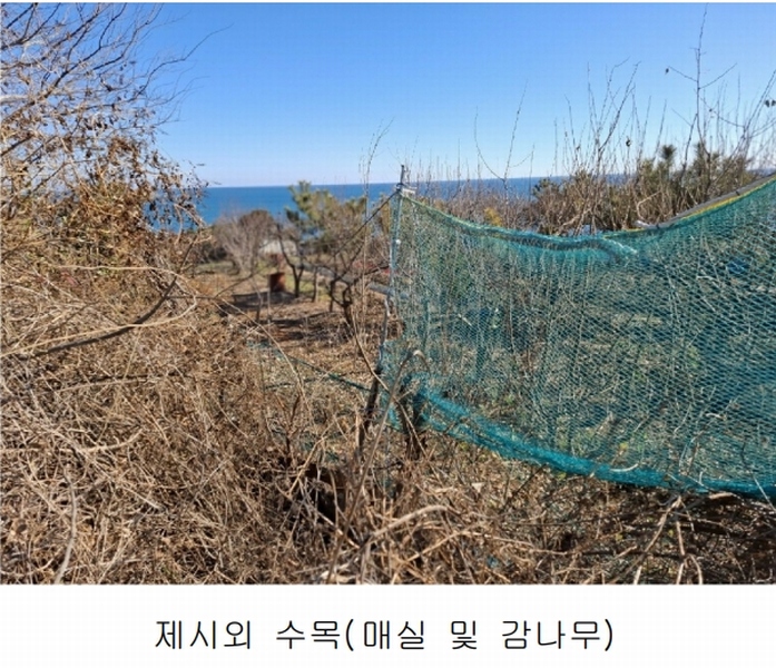 2024타경119721 울산광역시 북구 당사동 42 임야 경매 이미지