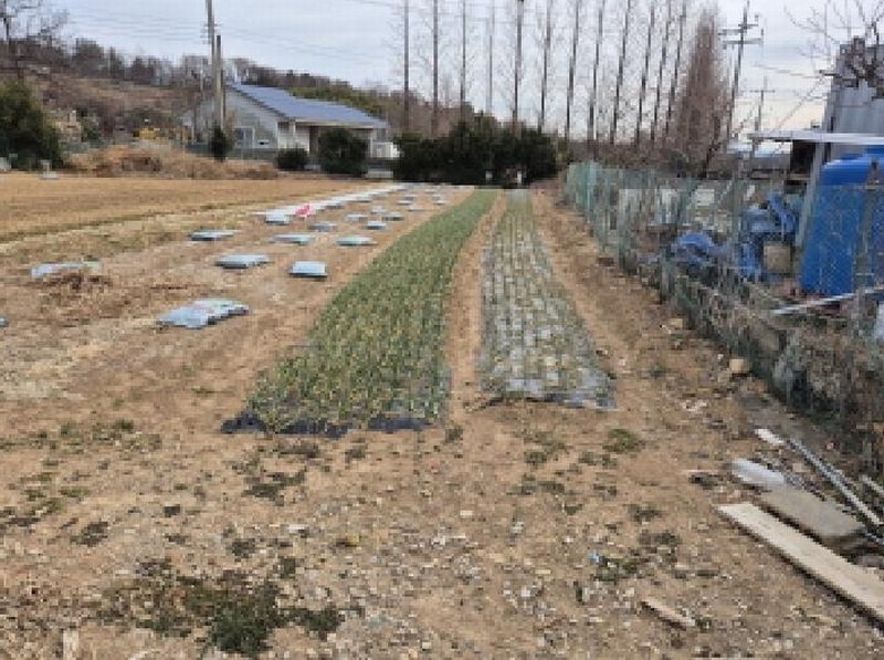 2025타경887 울산광역시 울주군 서생면 화산리 28-32 과수원 경매 이미지