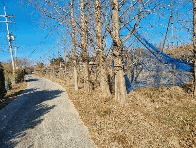 2025타경887 울산광역시 울주군 서생면 화산리 28-32 과수원 경매 이미지
