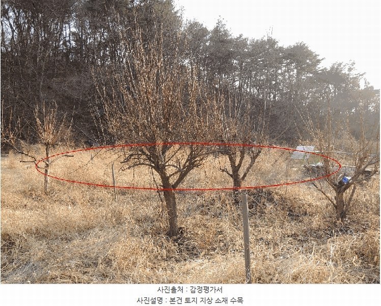 2025타경977 울산광역시 중구 다운동 45-1 농지 경매 이미지