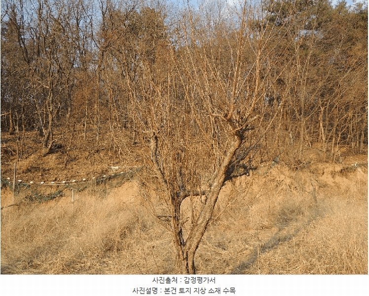 2025타경977 울산광역시 중구 다운동 45-1 농지 경매 이미지