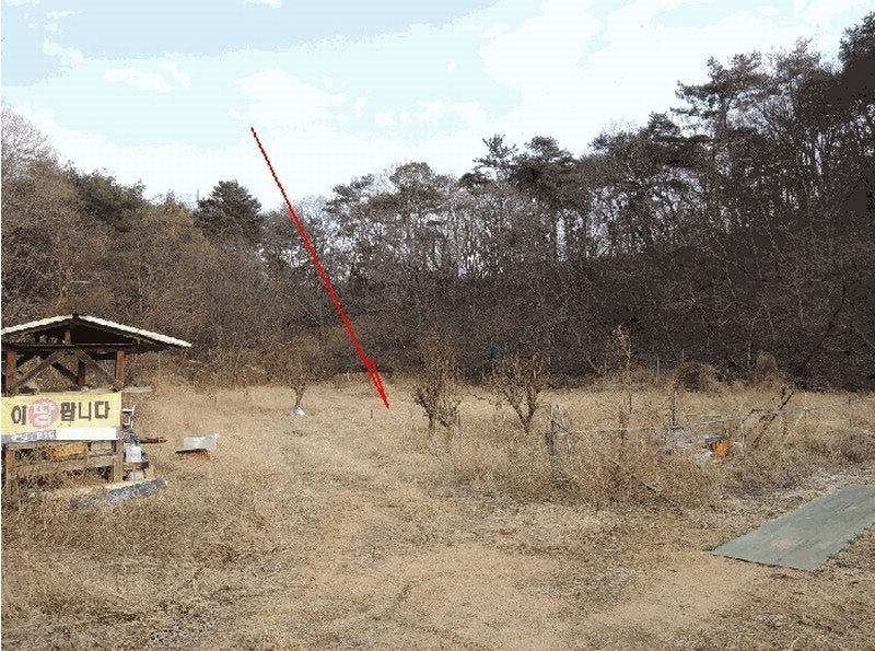 2025타경977 울산광역시 중구 다운동 45-1 농지 경매 이미지