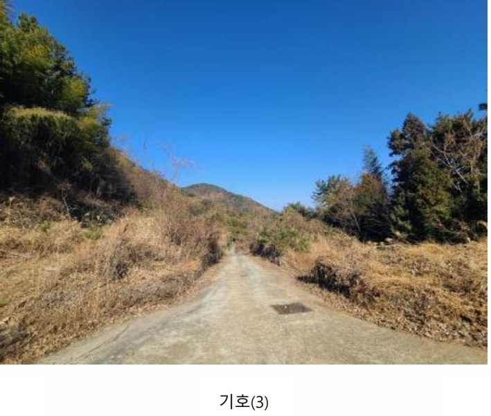 2024타경5655 경상남도 거제시 하청면 유계리 산86 임야 경매 이미지