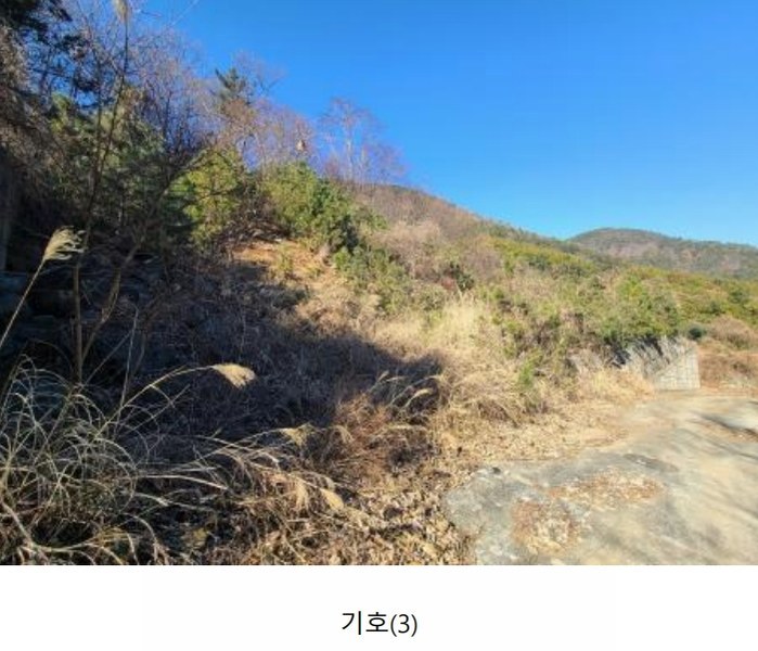 2024타경5655 경상남도 거제시 하청면 유계리 산86 임야 경매 이미지