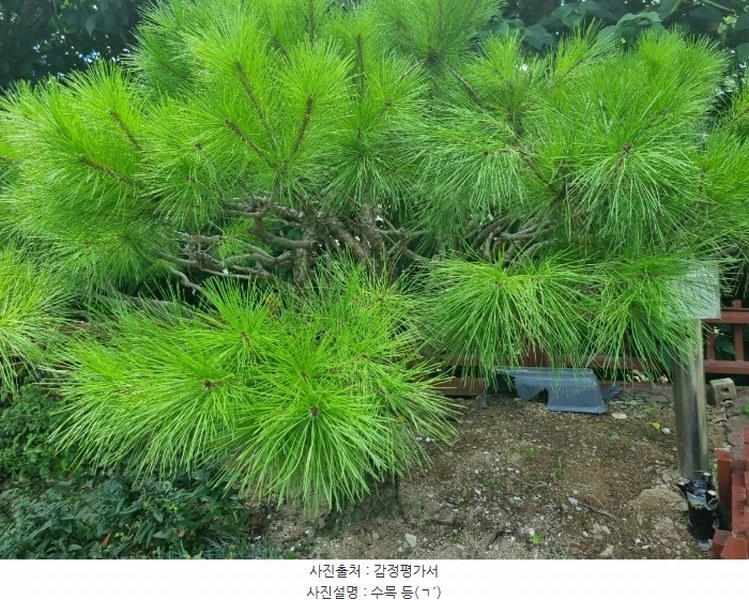 2024타경6146 경상남도 양산시 주남동 965 주택 경매 이미지