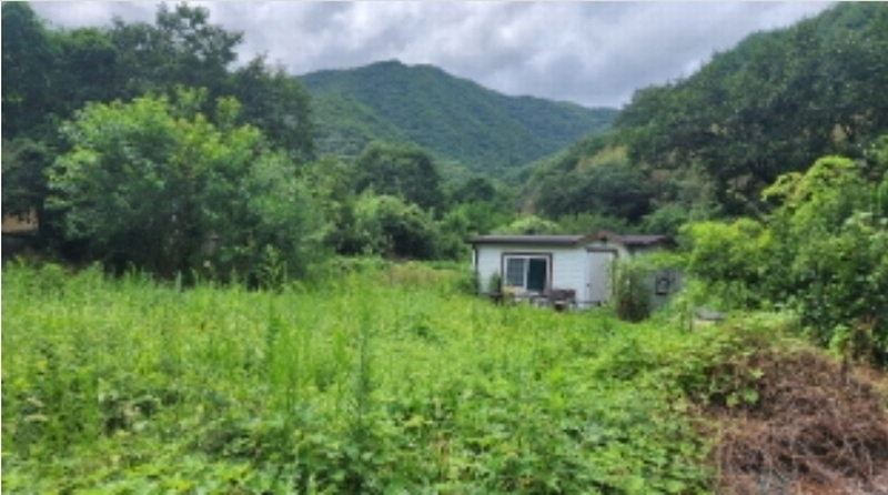 2024타경6559 경상남도 양산시 원동면 대리 399 대지 경매 이미지