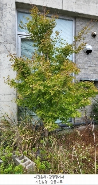 2024타경8852 울산광역시 울주군 서생면 대송리 303 근린시설 경매 이미지