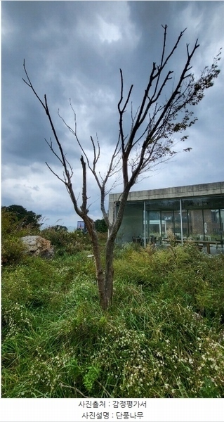 2024타경8852 울산광역시 울주군 서생면 대송리 303 근린시설 경매 이미지