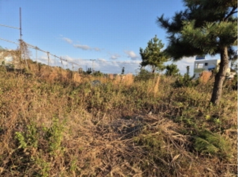 2024타경9084 울산광역시 울주군 서생면 나사리 190-9 농지 경매 이미지