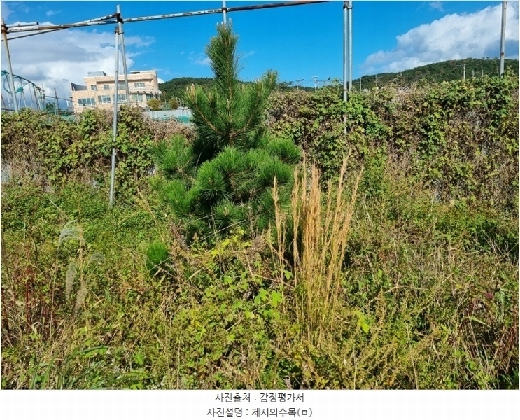 2024타경9084 울산광역시 울주군 서생면 나사리 190-9 농지 경매 이미지