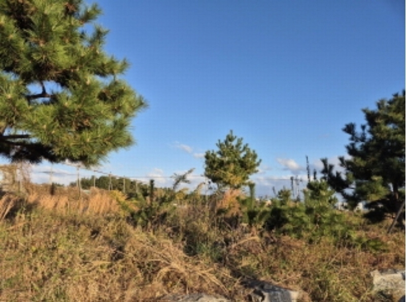 2024타경9084 울산광역시 울주군 서생면 나사리 190-9 농지 경매 이미지