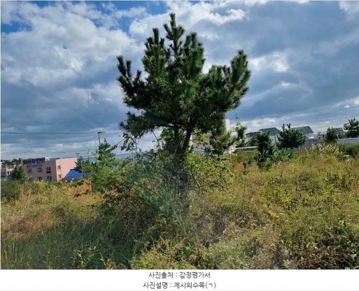 2024타경9084 울산광역시 울주군 서생면 나사리 190-9 농지 경매 이미지
