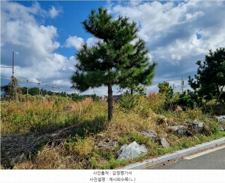 2024타경9084 울산광역시 울주군 서생면 나사리 190-9 농지 경매 이미지