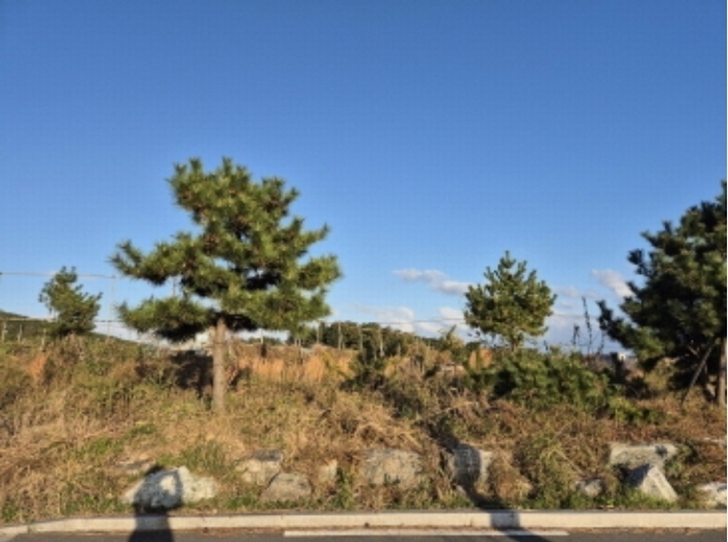 2024타경9084 울산광역시 울주군 서생면 나사리 190-9 농지 경매 이미지