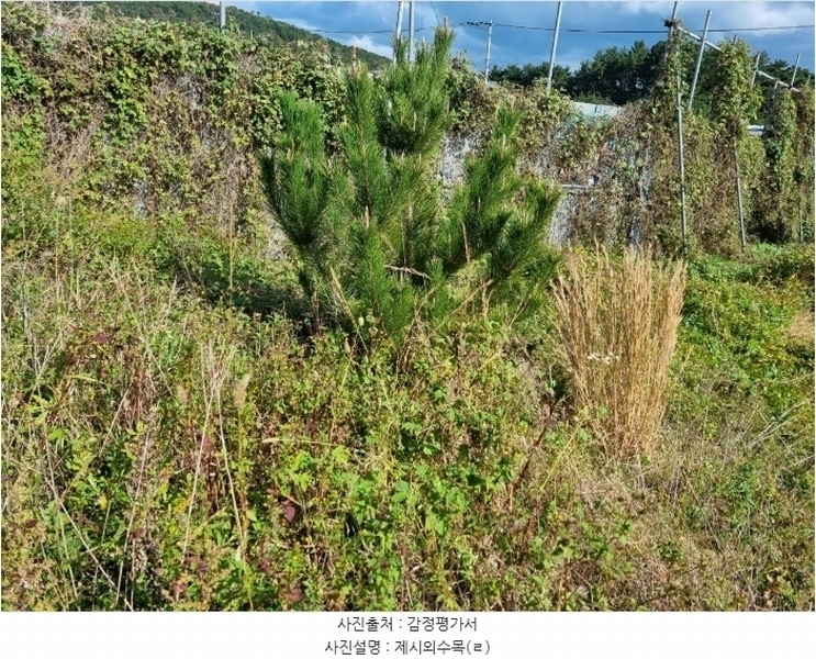 2024타경9084 울산광역시 울주군 서생면 나사리 190-9 농지 경매 이미지