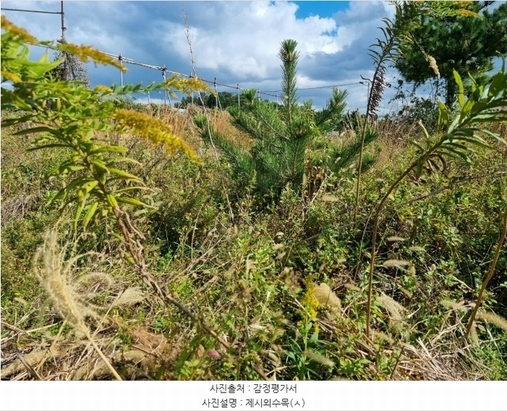 2024타경9084 울산광역시 울주군 서생면 나사리 190-9 농지 경매 이미지