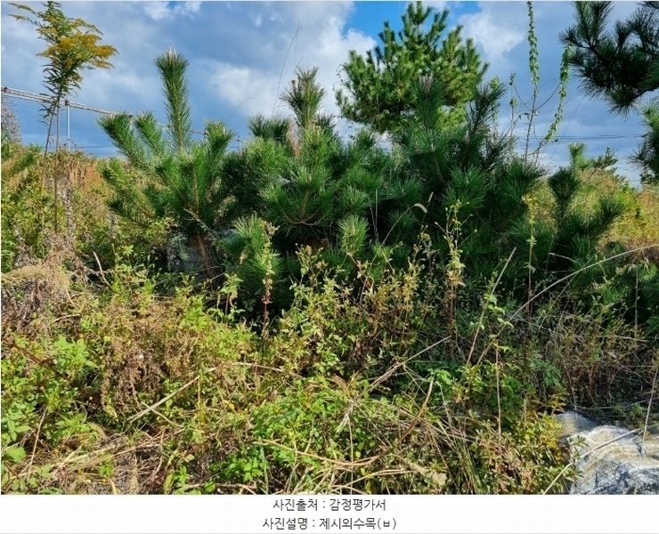 2024타경9084 울산광역시 울주군 서생면 나사리 190-9 농지 경매 이미지