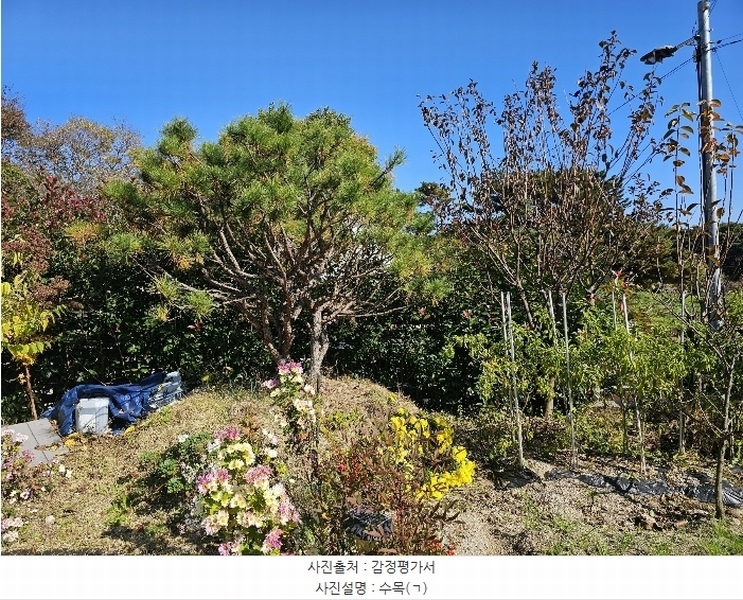 2024타경9251 경상남도 양산시 하북면 지산리 504-7 주택 경매 이미지