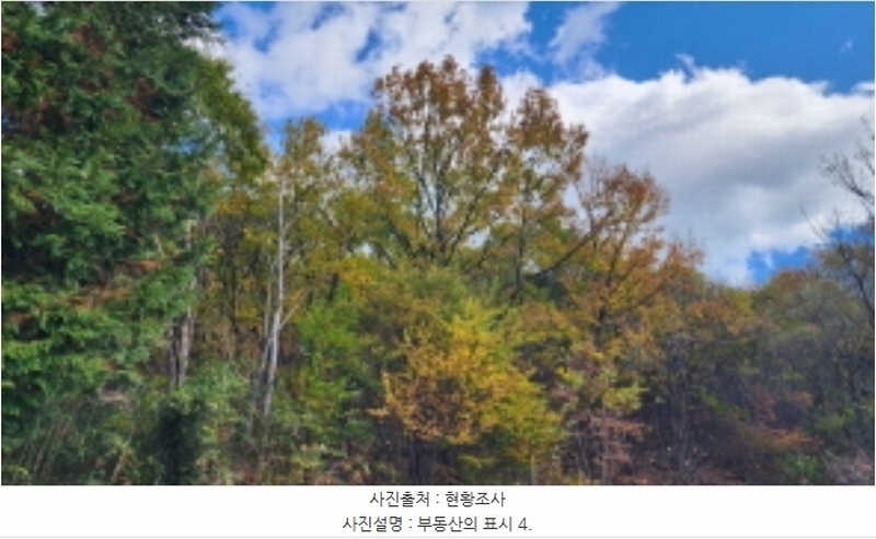 2024타경9305 울산광역시 울주군 언양읍 반송리 산136-14 임야 경매 이미지