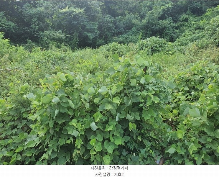 2024타경112997 울산광역시 울주군 웅촌면 대대리 1421-1 농지 경매 이미지