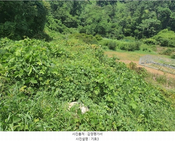 2024타경112997 울산광역시 울주군 웅촌면 대대리 1421-1 농지 경매 이미지