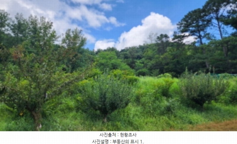 2024타경112997 울산광역시 울주군 웅촌면 대대리 1421-1 농지 경매 이미지