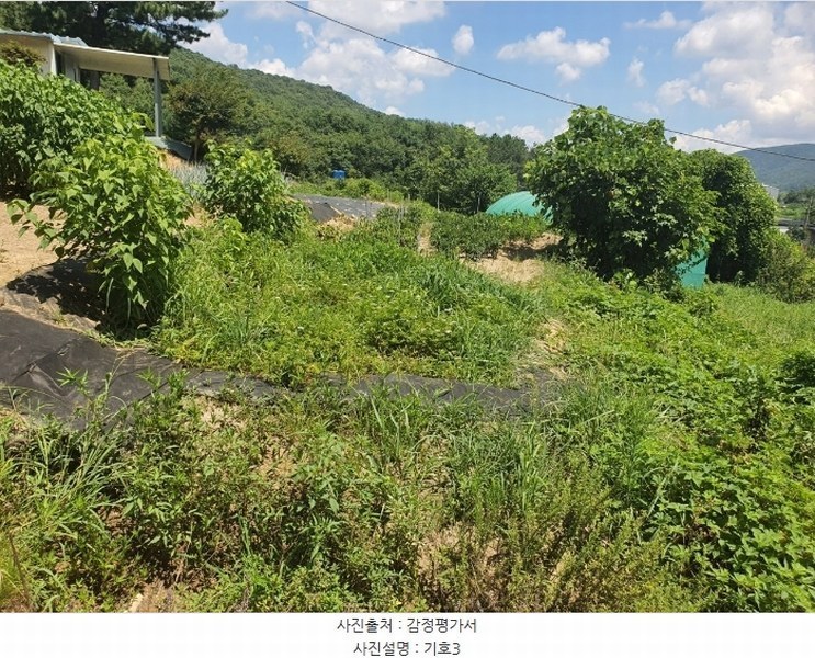 2024타경112997 울산광역시 울주군 웅촌면 대대리 1421-1 농지 경매 이미지