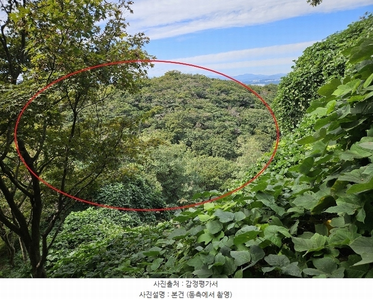 2024타경115354 울산광역시 북구 염포동 산61 임야 경매 이미지