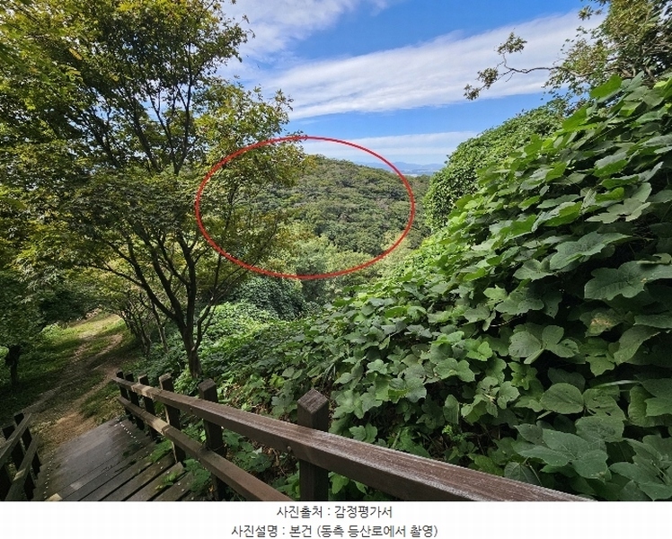 2024타경115354 울산광역시 북구 염포동 산61 임야 경매 이미지