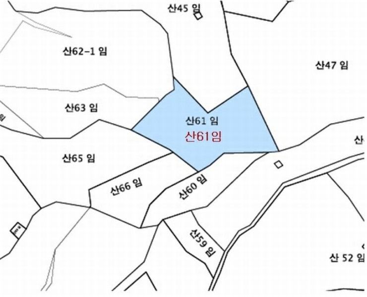 2024타경115354 울산광역시 북구 염포동 산61 임야 경매 이미지