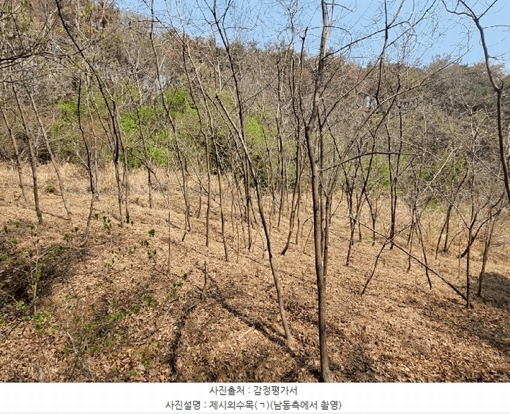 2025타경1026 울산광역시 북구 가대동 675-2 농지 경매 이미지