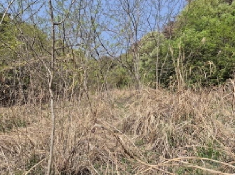 2025타경1026 울산광역시 북구 가대동 675-2 농지 경매 이미지